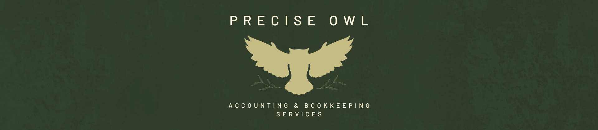 Home precise owl website cover